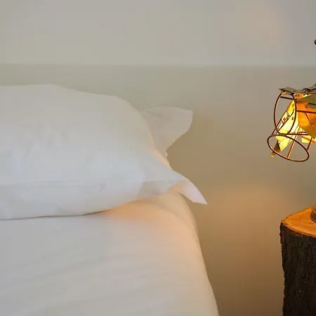 Gasthof The Late Birds - Gay Urban