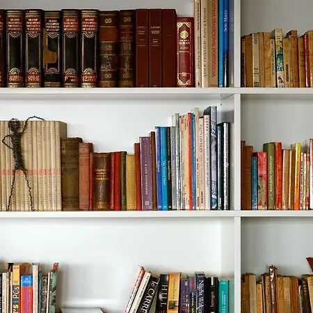 The Late Birds - Gay Urban Lissabon