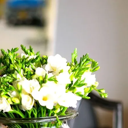 The Late Birds - Gay Urban Gasthof