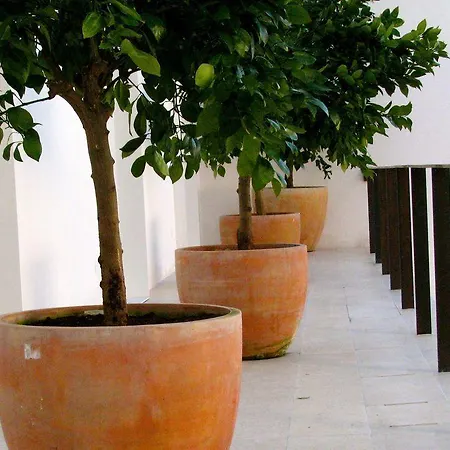 The Late Birds - Gay Urban Gasthof 4*