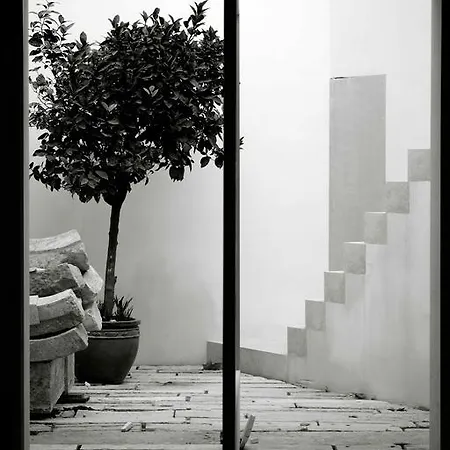The Late Birds - Gay Urban 4* Lizbona