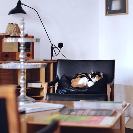 The Late Birds - Gay Urban 4* Lisbon